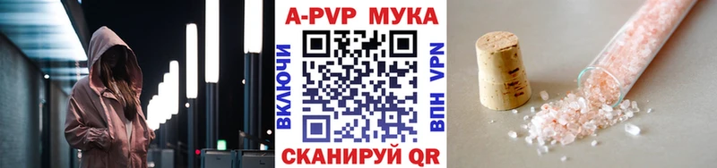 KRAKEN ссылка  Моздок  Alpha PVP крисы CK 