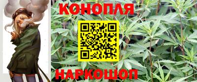 таблы Гатчина