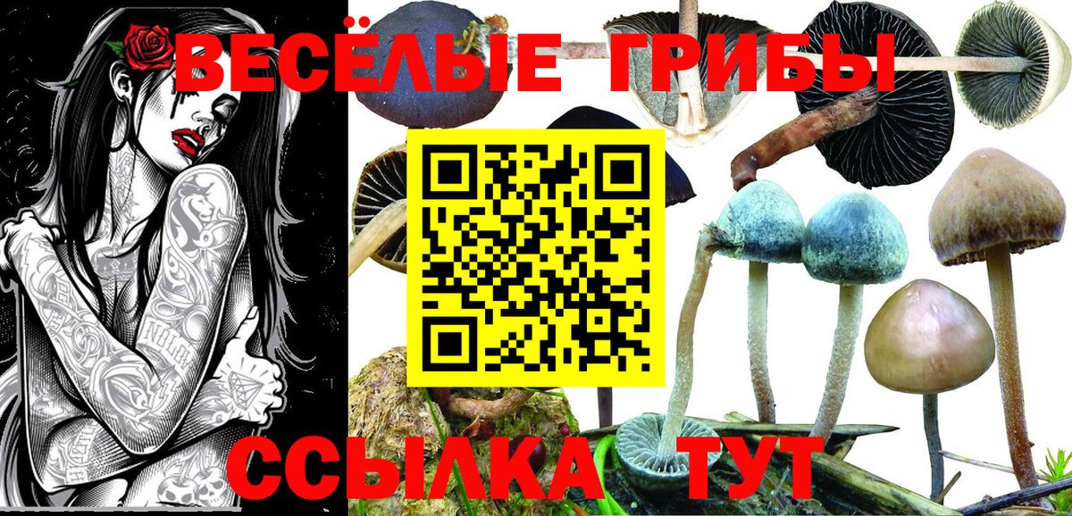Псилоцибиновые грибы мухоморы Моздок