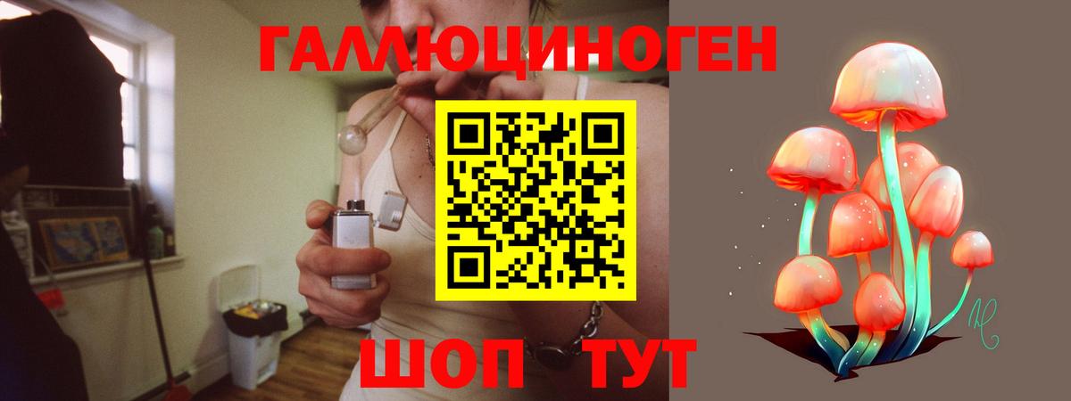 дарнет шоп  Моздок  Псилоцибиновые грибы Magic Shrooms 